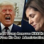 Donald Trump excludes Nikki Haley from his new administration, Haley responds with grace, offering her support despite the setback.