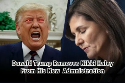 Donald Trump excludes Nikki Haley from his new administration, Haley responds with grace, offering her support despite the setback.